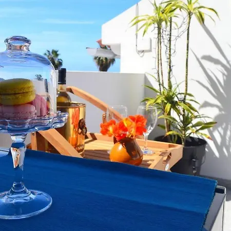 Lazy Lizard * سيكسال