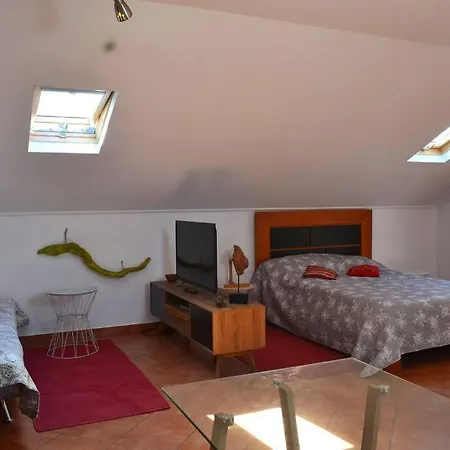 Lazy Lizard 세이살