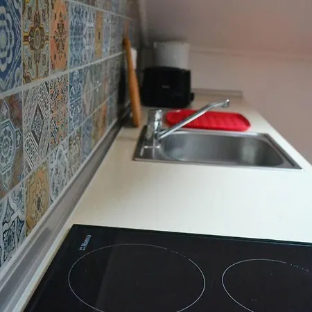 Lazy Lizard * 세이살