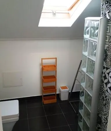 Lazy Lizard Apartment