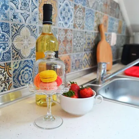 Lazy Lizard 세이살