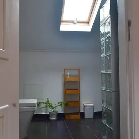 Lazy Lizard 아파트 세이살