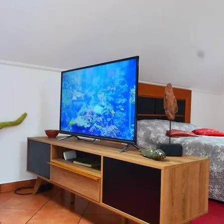 Lazy Lizard Apartment