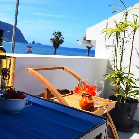 Lazy Lizard 세이살