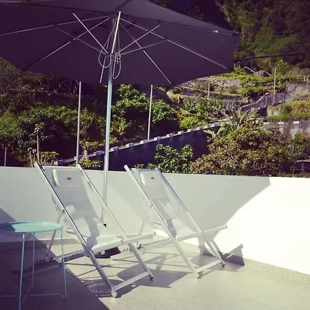 Lazy Lizard 세이살