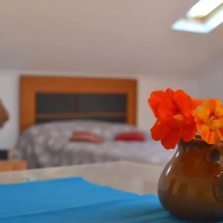 Lazy Lizard Apartment
