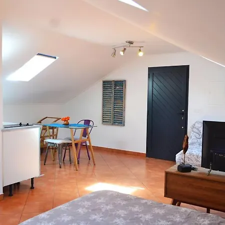 Lazy Lizard * 세이살