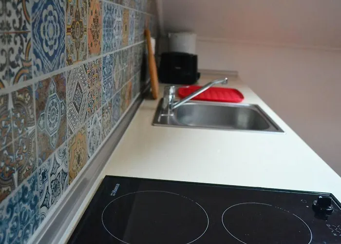 Lazy Lizard * سيكسال