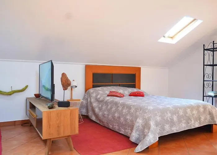 Lazy Lizard * سيكسال