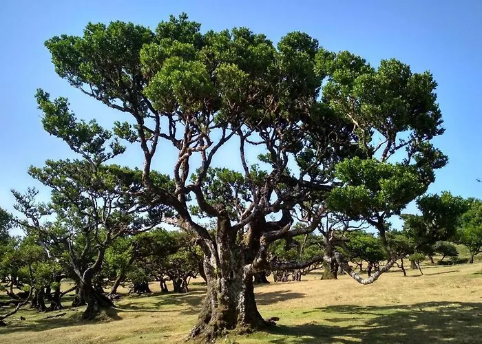 شقة Lazy Lizard *