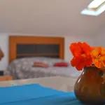 Lazy Lizard Διαμέρισμα