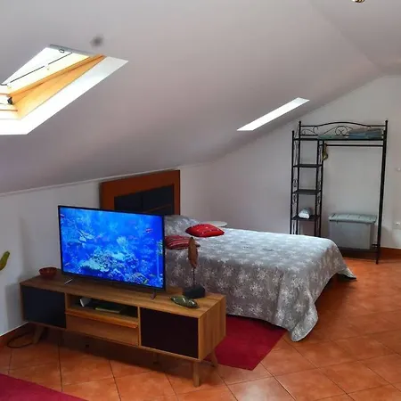 Apartament Lazy Lizard