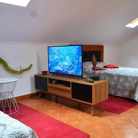 Lazy Lizard Apartament