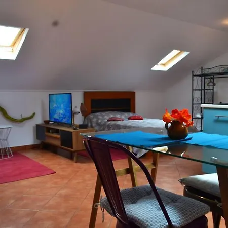 Apartament Lazy Lizard *