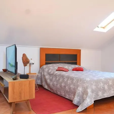 Lazy Lizard * Seixal (Madeira)