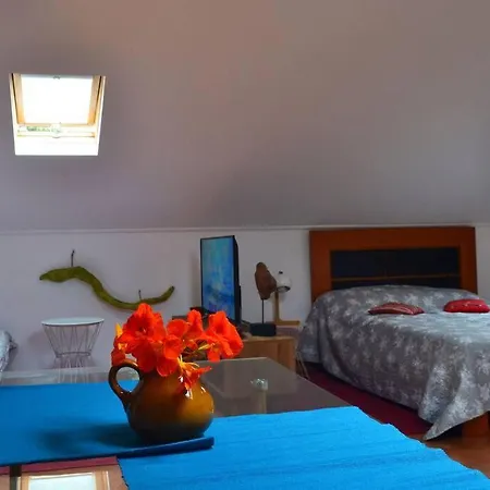 Lazy Lizard Seixal (Madeira)