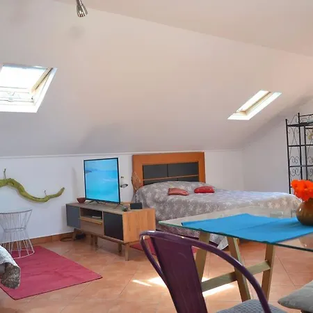 Lazy Lizard Appartement *