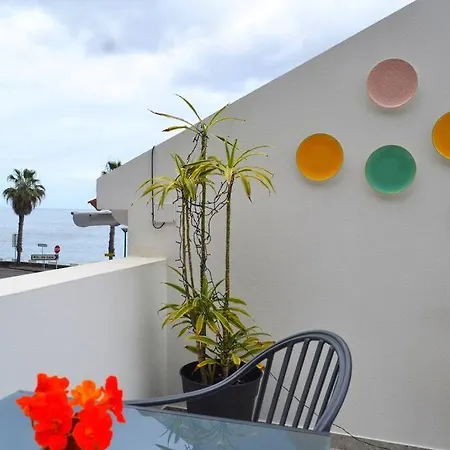 Lazy Lizard Seixal (Madeira)