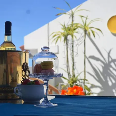 Lazy Lizard Appartement *