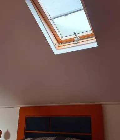 Lazy Lizard * סיישאו