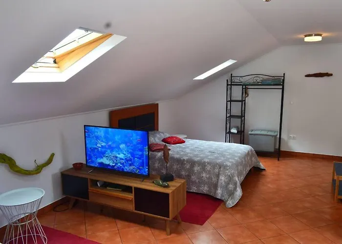 Apartmán Lazy Lizard