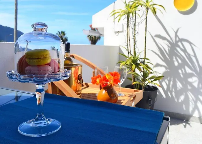 Lazy Lizard * Seixal (Madeira)