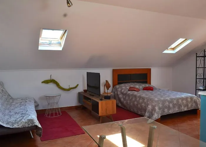 Lazy Lizard Seixal (Madeira)