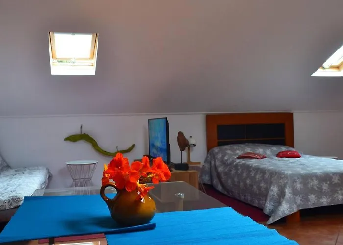 Lazy Lizard Seixal (Madeira)