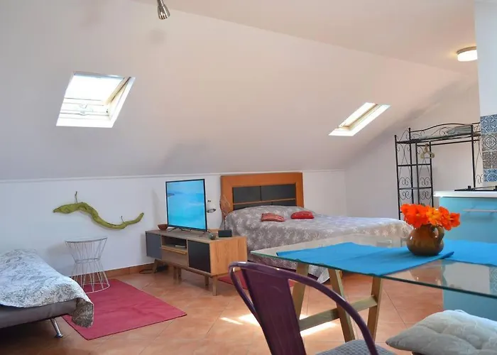 Lazy Lizard Appartement *