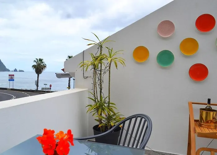 Lazy Lizard Seixal (Madeira)