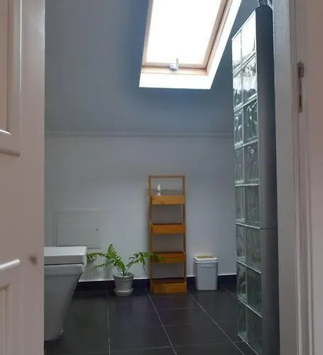 Lazy Lizard Apartmán Seixal (Madeira)