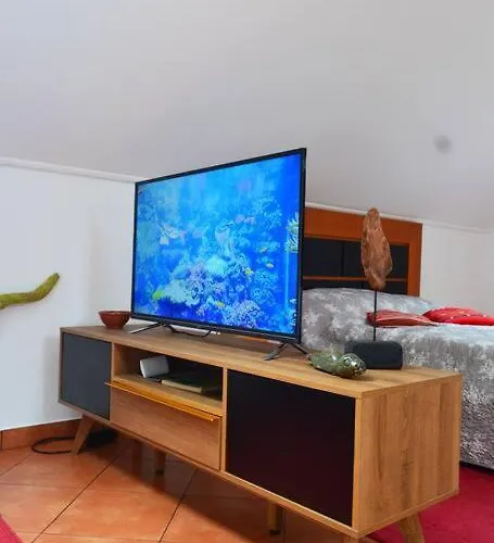 Lazy Lizard Apartmán