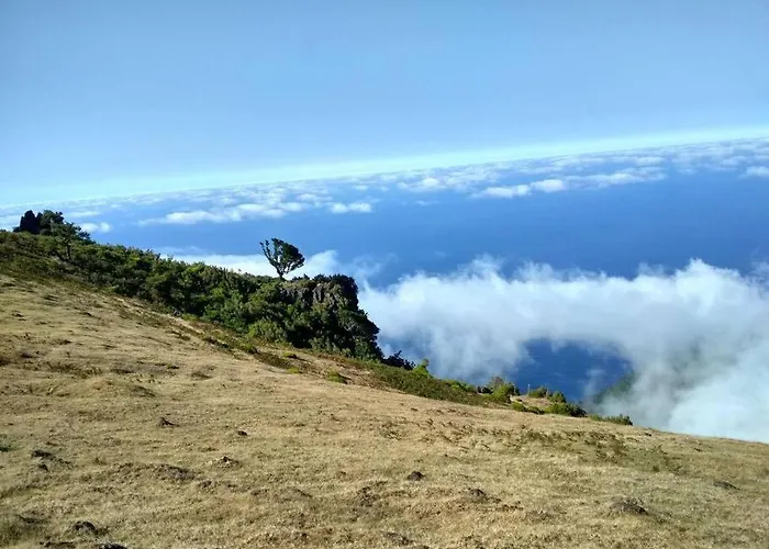 Appartement Lazy Lizard *