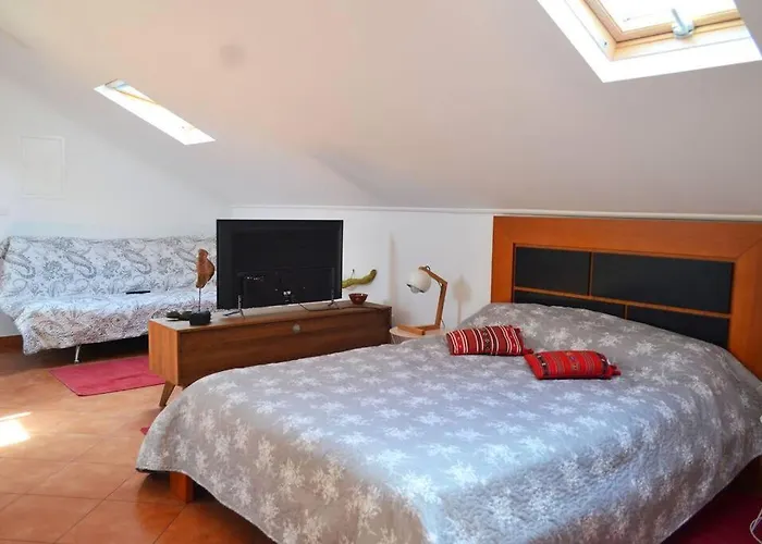 Lazy Lizard * Seixal (Madeira)