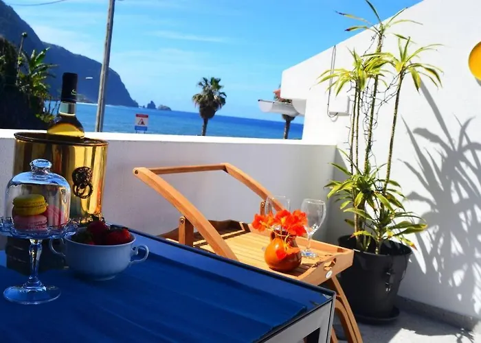 Lazy Lizard Seixal (Madeira)