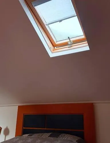 Lazy Lizard * Seixal (Madeira)