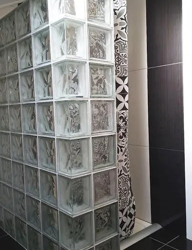 Lazy Lizard Seixal (Madeira)