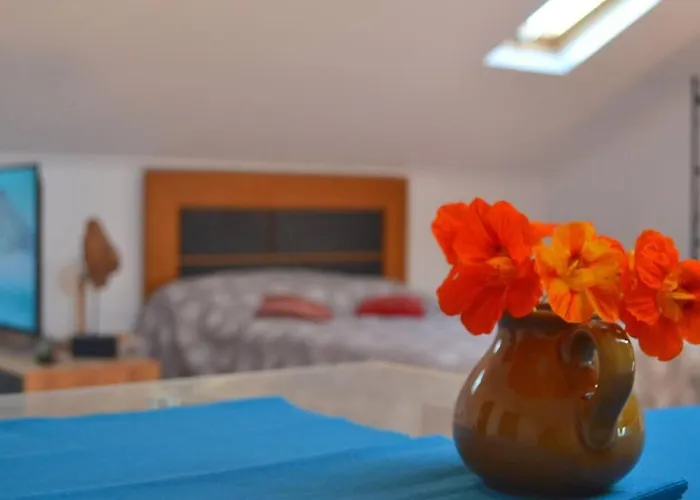 Lazy Lizard Appartement