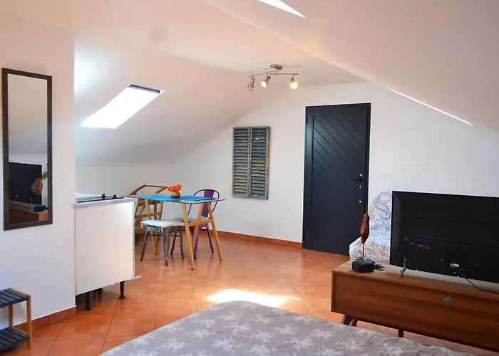 Lazy Lizard * Seixal (Madeira)